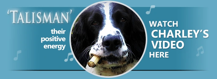 pebble project banner link