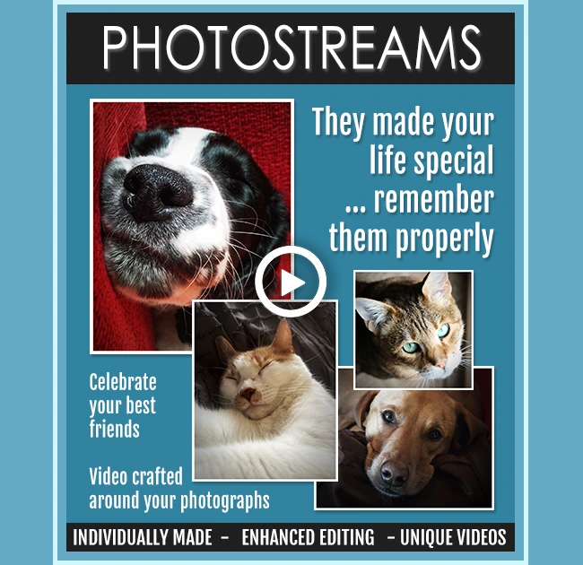 photostreams animated video slideshows